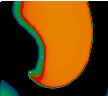 Spiral Wave